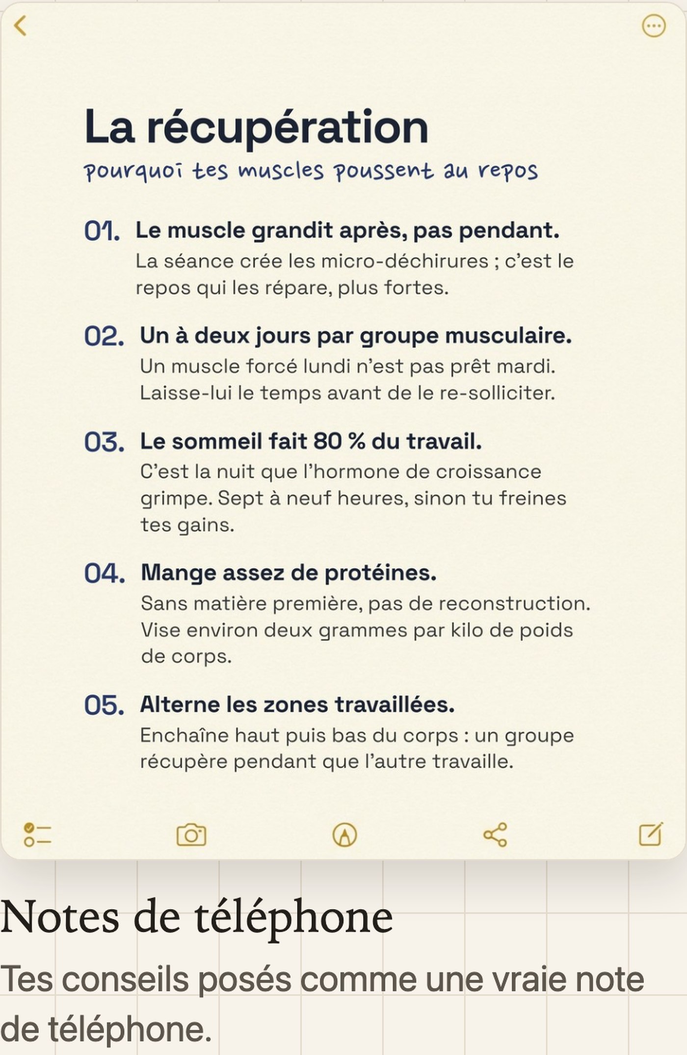 Un cinquième style de carrousel inclus, montré en grand